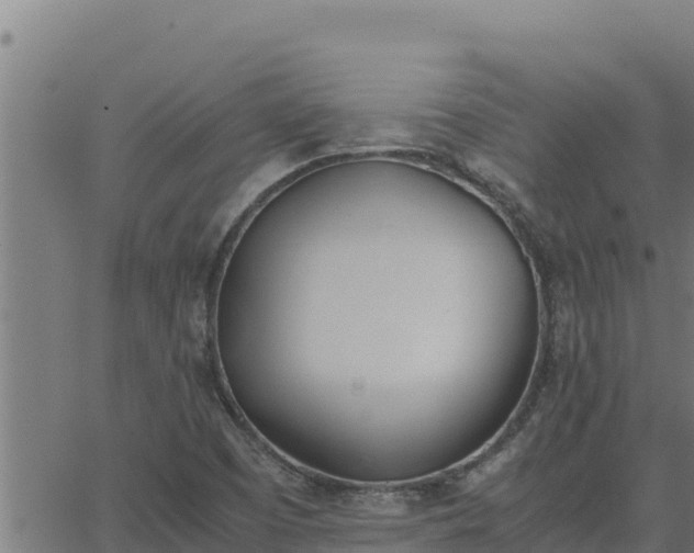 X0000062871457200601201742