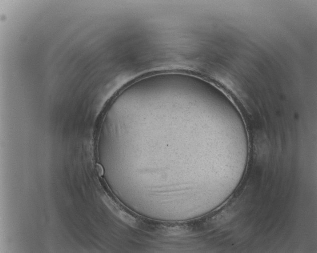 X0000062871460200601201742