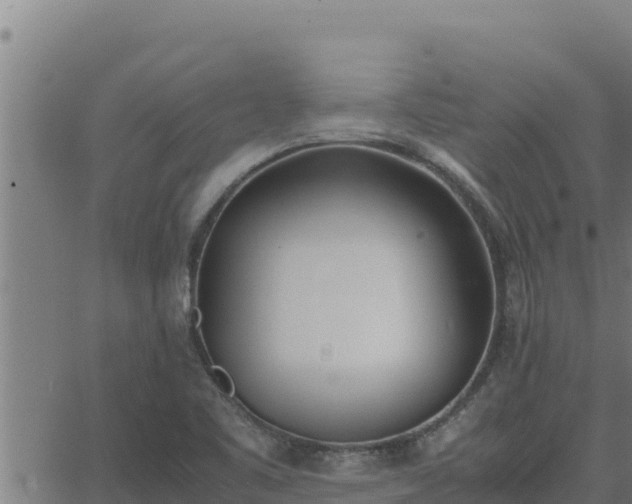 X0000062871461200601201742