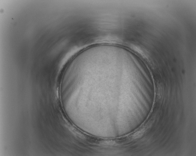 X0000062871462200601201742