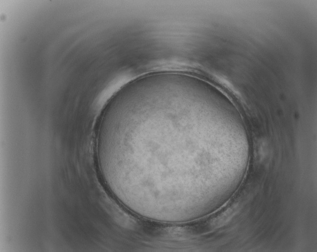 X0000062871463200601201742