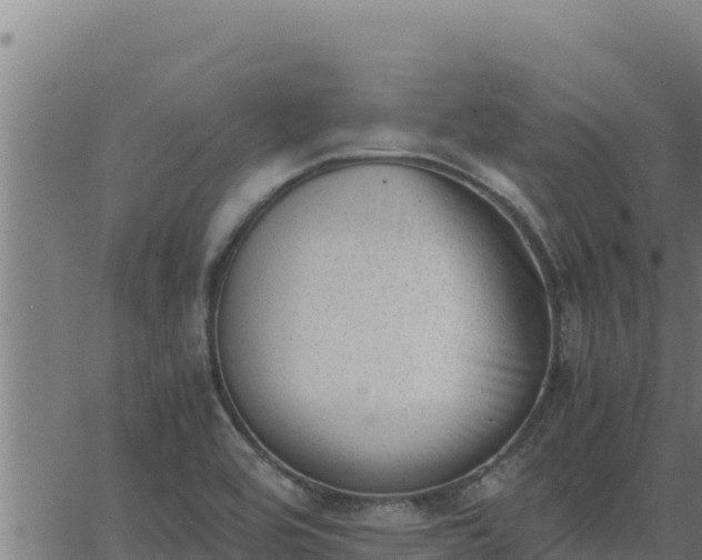 X0000062871464200601201742