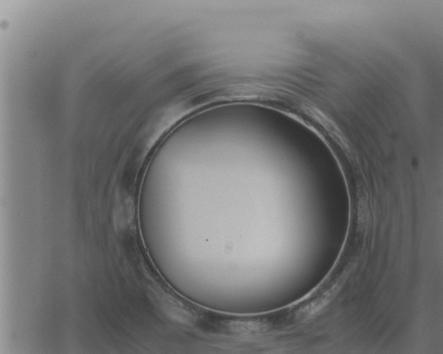 X0000062871465200601201742