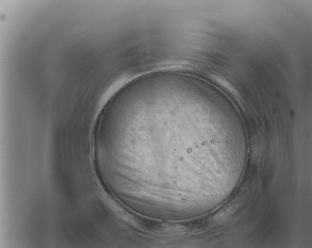 X0000062871467200601201742