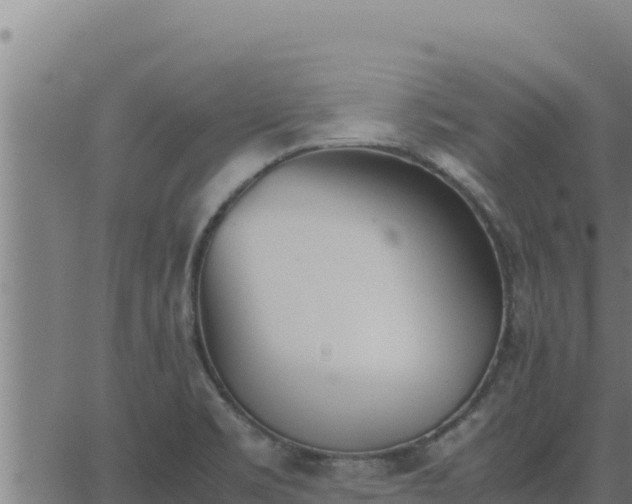 X0000062871469200601201742