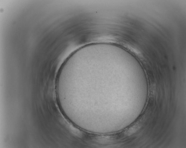 X0000062871470200601201742