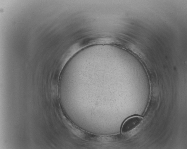 X0000062871473200601201742