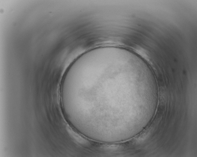 X0000062871474200601201742