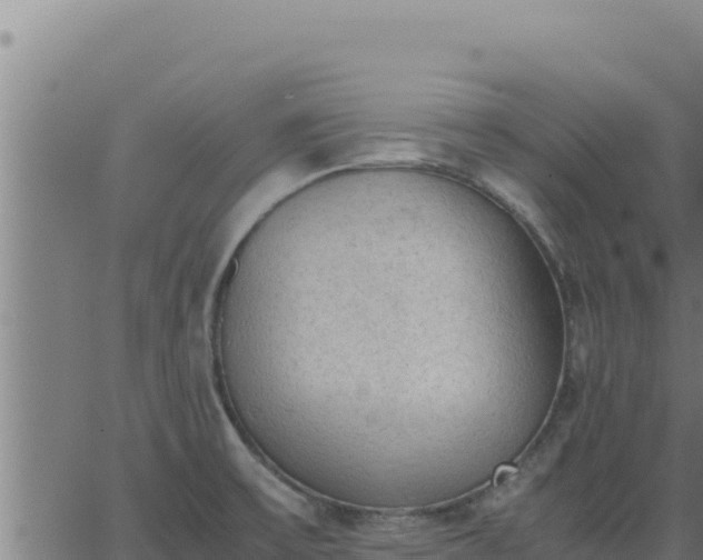 X0000062871475200601201742