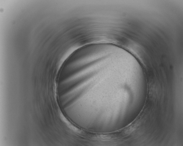 X0000062871476200601201742