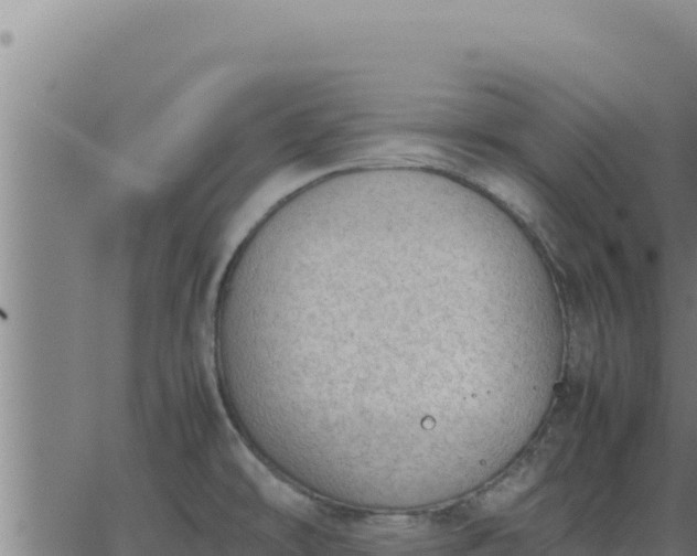 X0000062871478200601201742