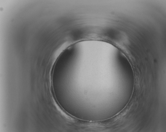 X0000062871479200601201742