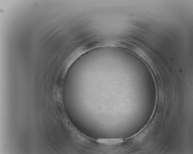 X0000062871481200601201741