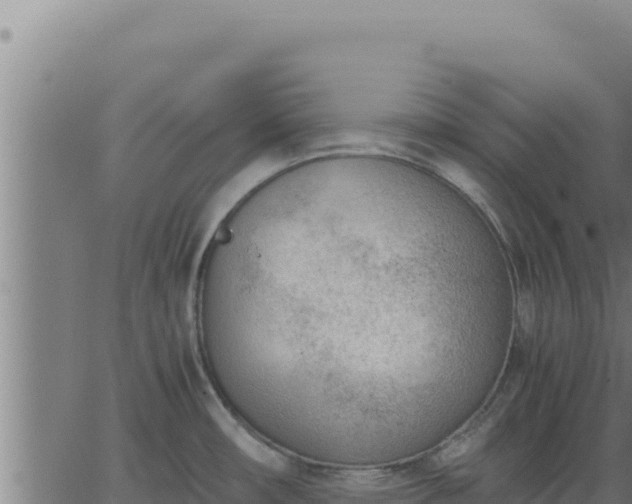 X0000062871482200601201741