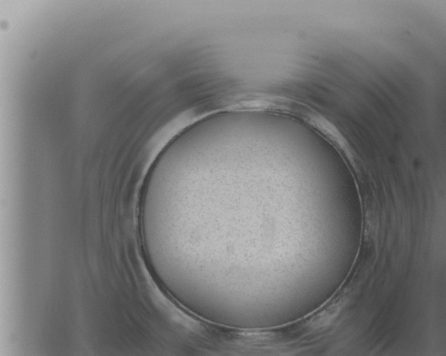 X0000062871483200601201741