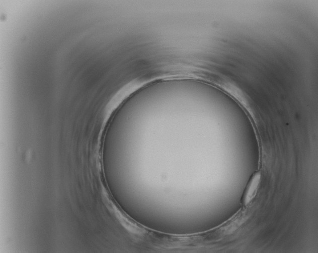 X0000062871485200601201741