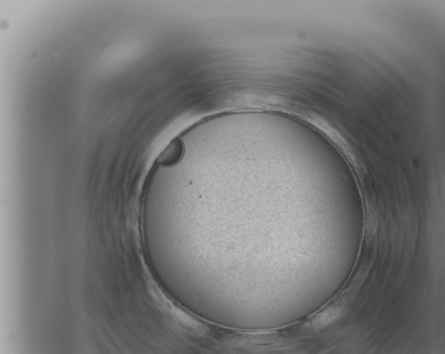 X0000062871486200601201741