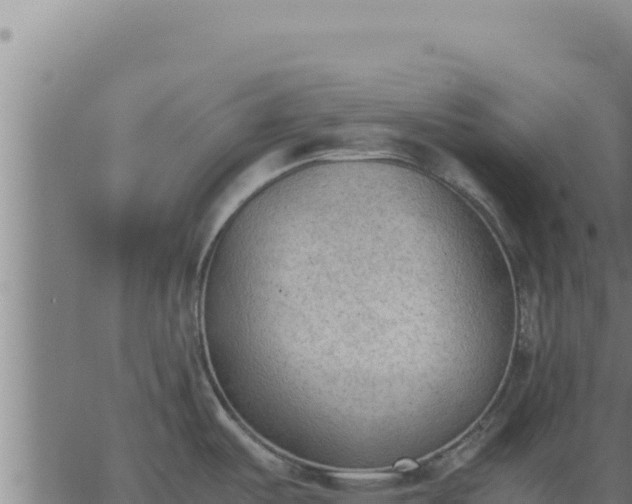 X0000062871487200601201741