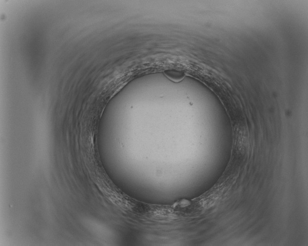 X0000062871489200601201741