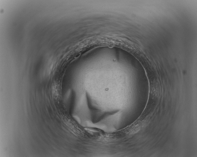 X0000062871490200601201741