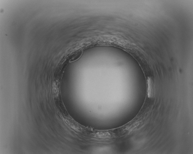 X0000062871491200601201741