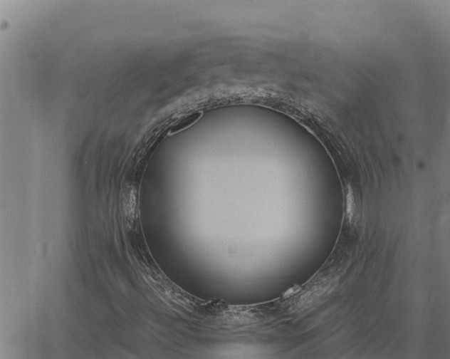 X0000062871492200601201741