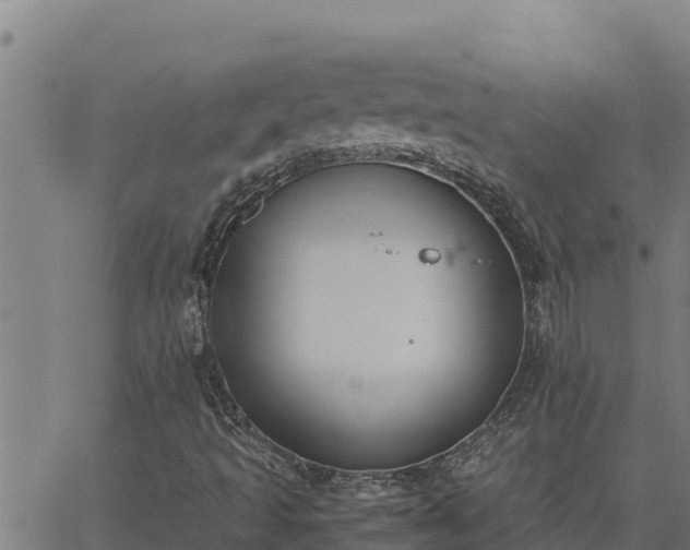 X0000062871493200601201741