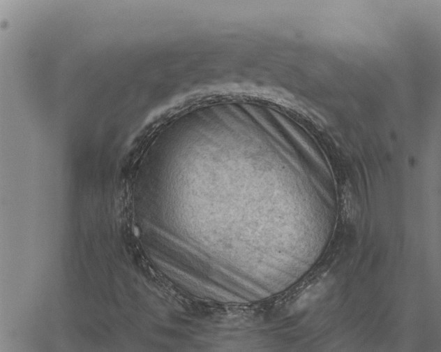 X0000062871494200601201741