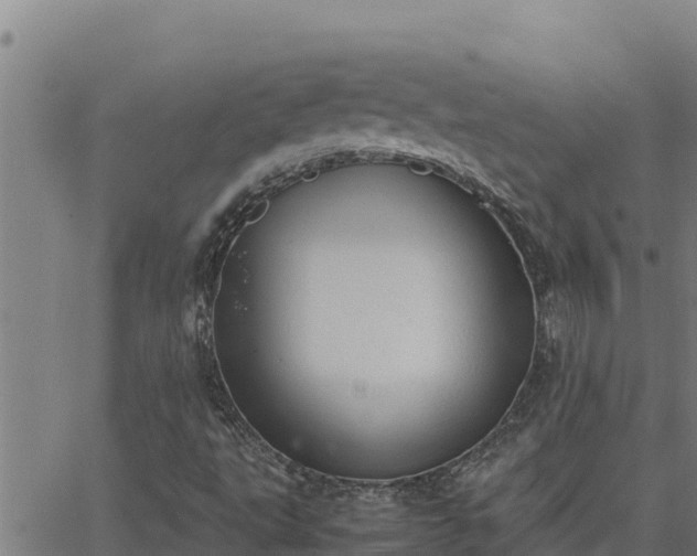 X0000062871495200601201741