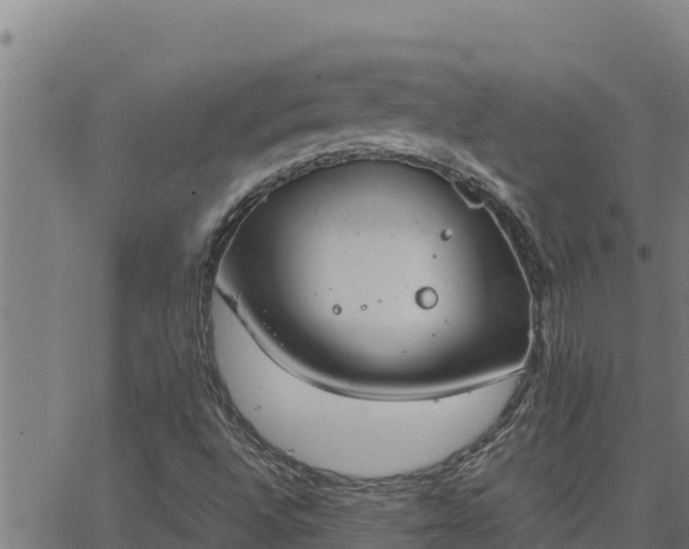 X0000062871496200601201741