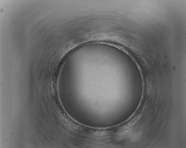 X0000062871497200601201741