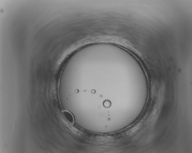 X0000062871498200601201741