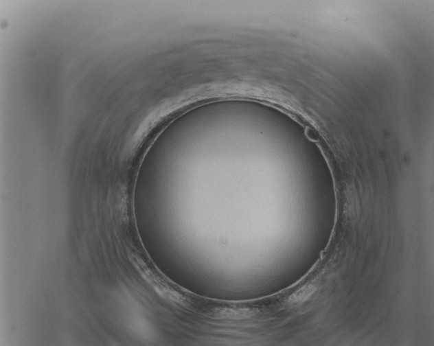 X0000062871499200601201741