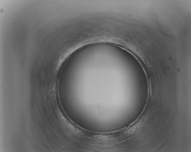 X0000062871500200601201741