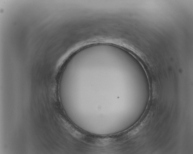 X0000062871502200601201741