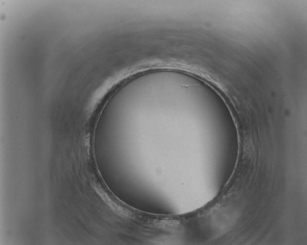 X0000062871503200601201741