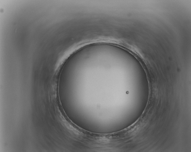 X0000062871504200601201741