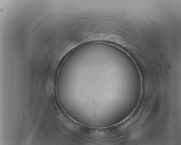 X0000062871505200601201741