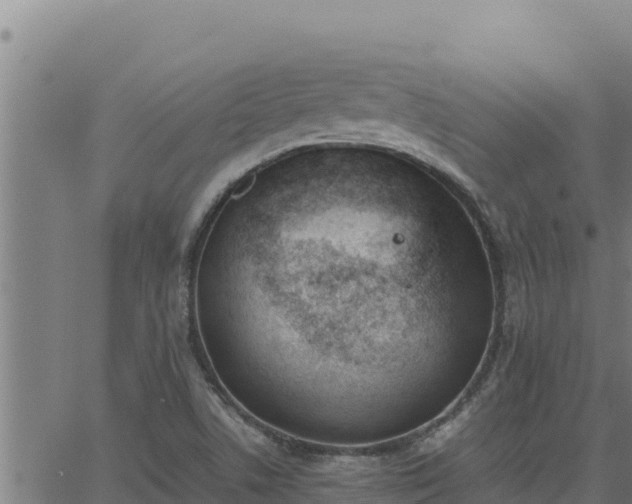 X0000062871506200601201741