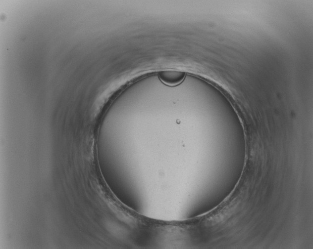 X0000062871507200601201741