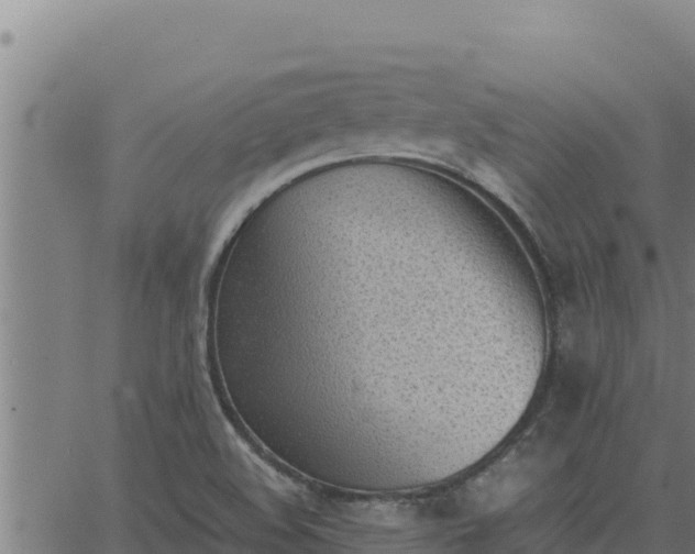 X0000062871508200601201741