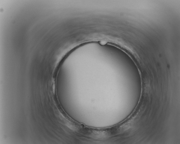 X0000062871509200601201741