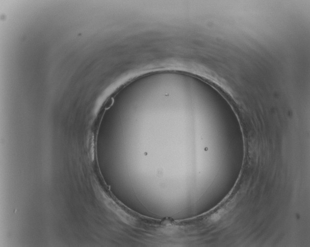 X0000062871510200601201741