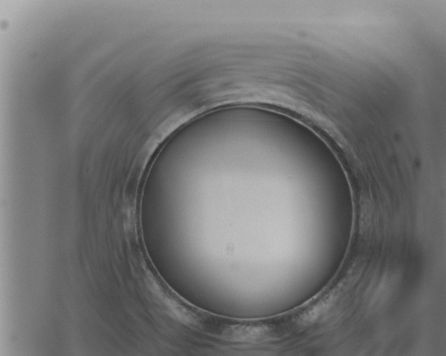 X0000062871513200601201741