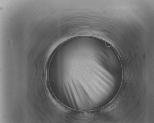 X0000062871515200601201741