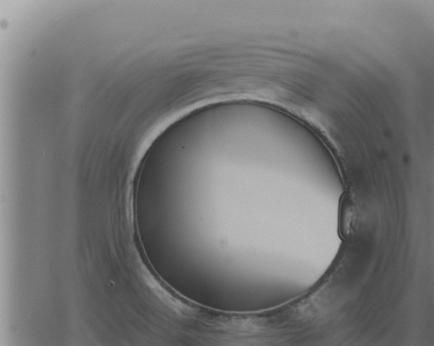 X0000062871516200601201741