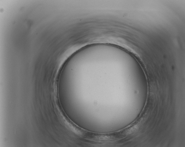 X0000062871517200601201741