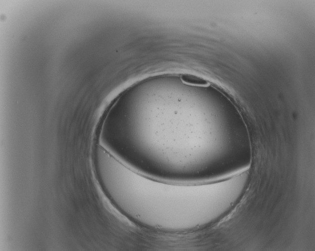 X0000062871518200601201741