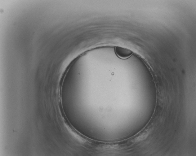 X0000062871519200601201741