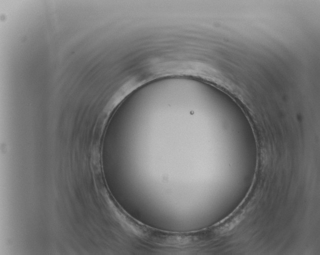 X0000062871521200601201741